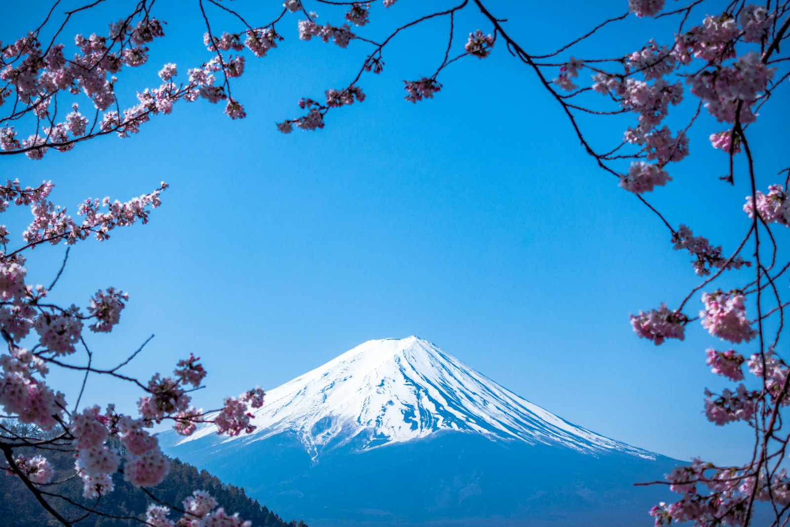 富士山の反射 芦ノ湖 箱根 日本