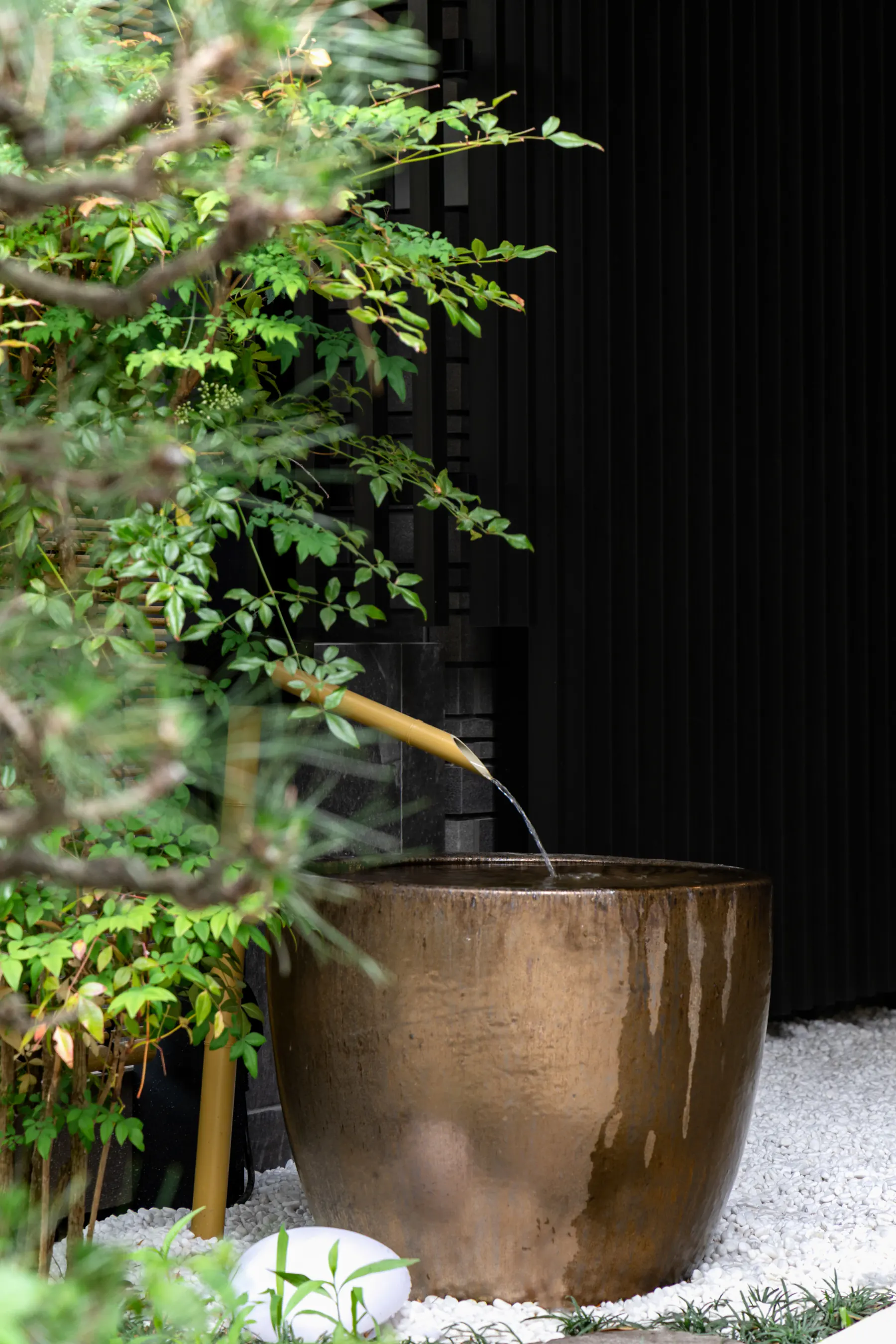 Water garden — Courtyard view
