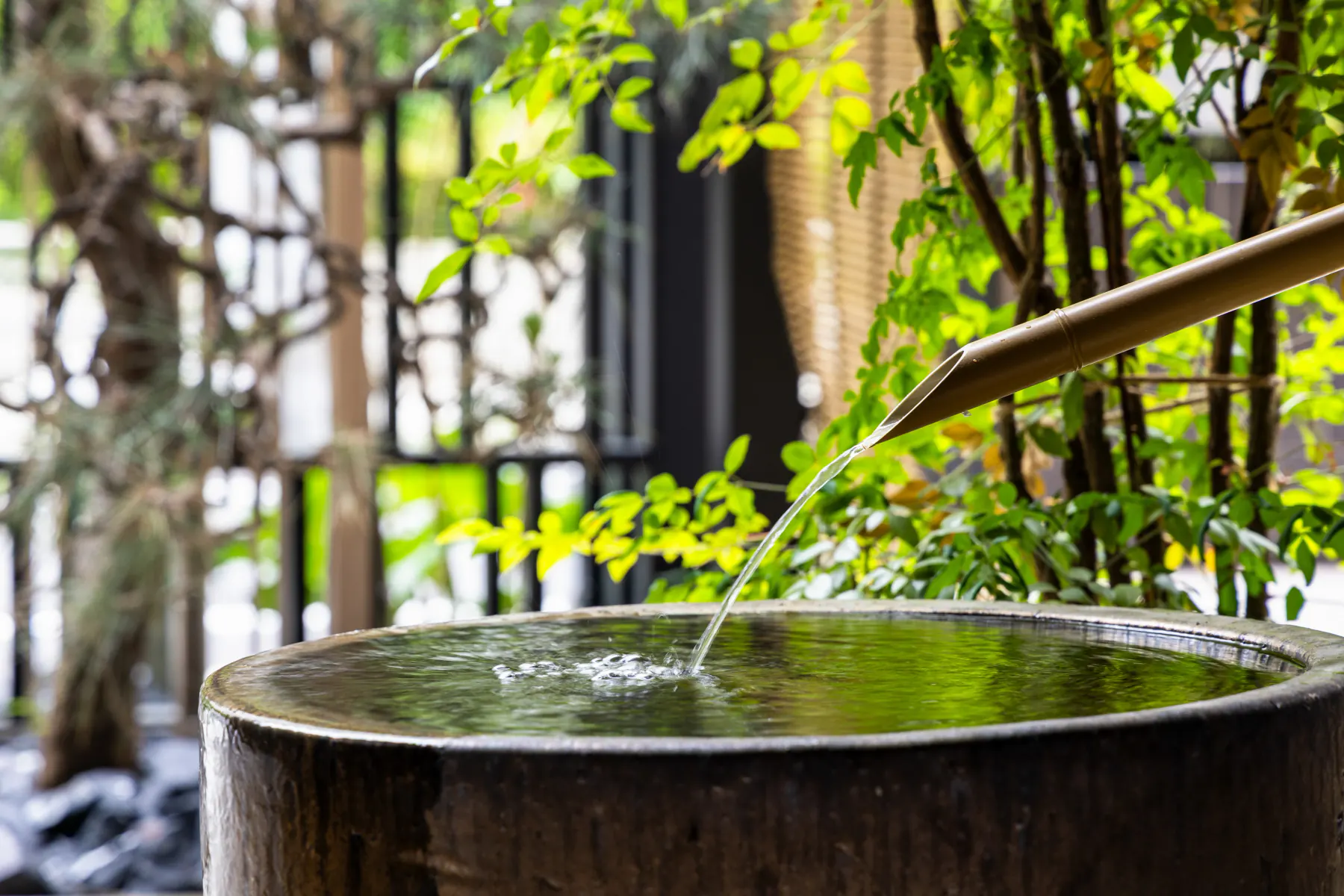 Water tank — Garden detail
